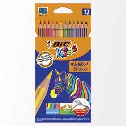 Crayon 12 Couleurs BIC