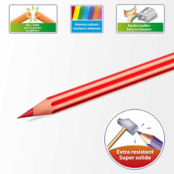 12 Crayons de Couleurs Bic Kids Evolution